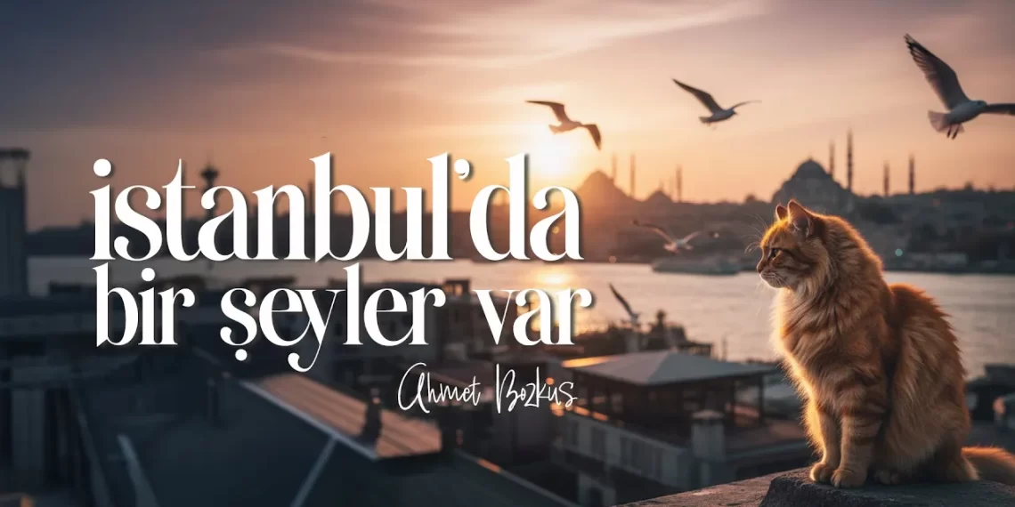 İstanbu’da Bir Şeyler Var