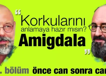 Amigdala: Korkularını Anlamaya Hazır Mısın?