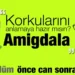 Amigdala: Korkularını Anlamaya Hazır Mısın?