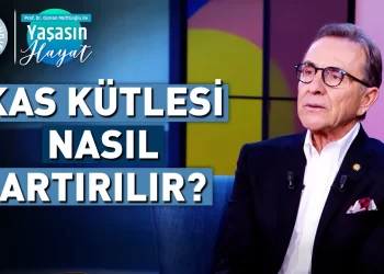 Kas Kütlesi Nasıl Artırılır?