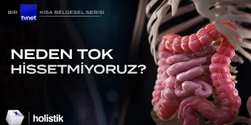 Sağlıklıklı Yaşam Bağırsaklardan Başlar