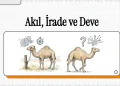 Akıl, İrade ve Sorumluluk Sahibi Bir Varlık Olarak İnsan